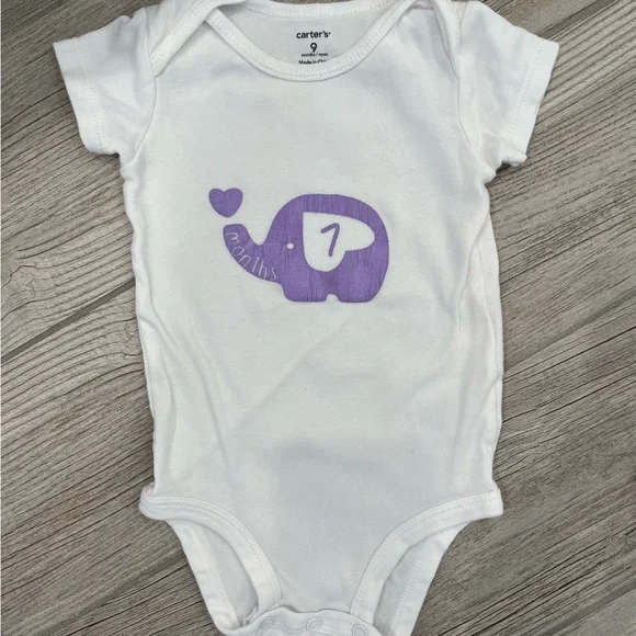Baby elephant milestone onesies hand painted months 1-9